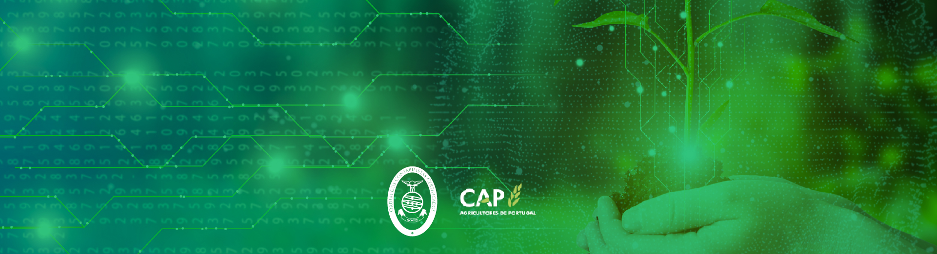OCC/CAP - 6 de junho