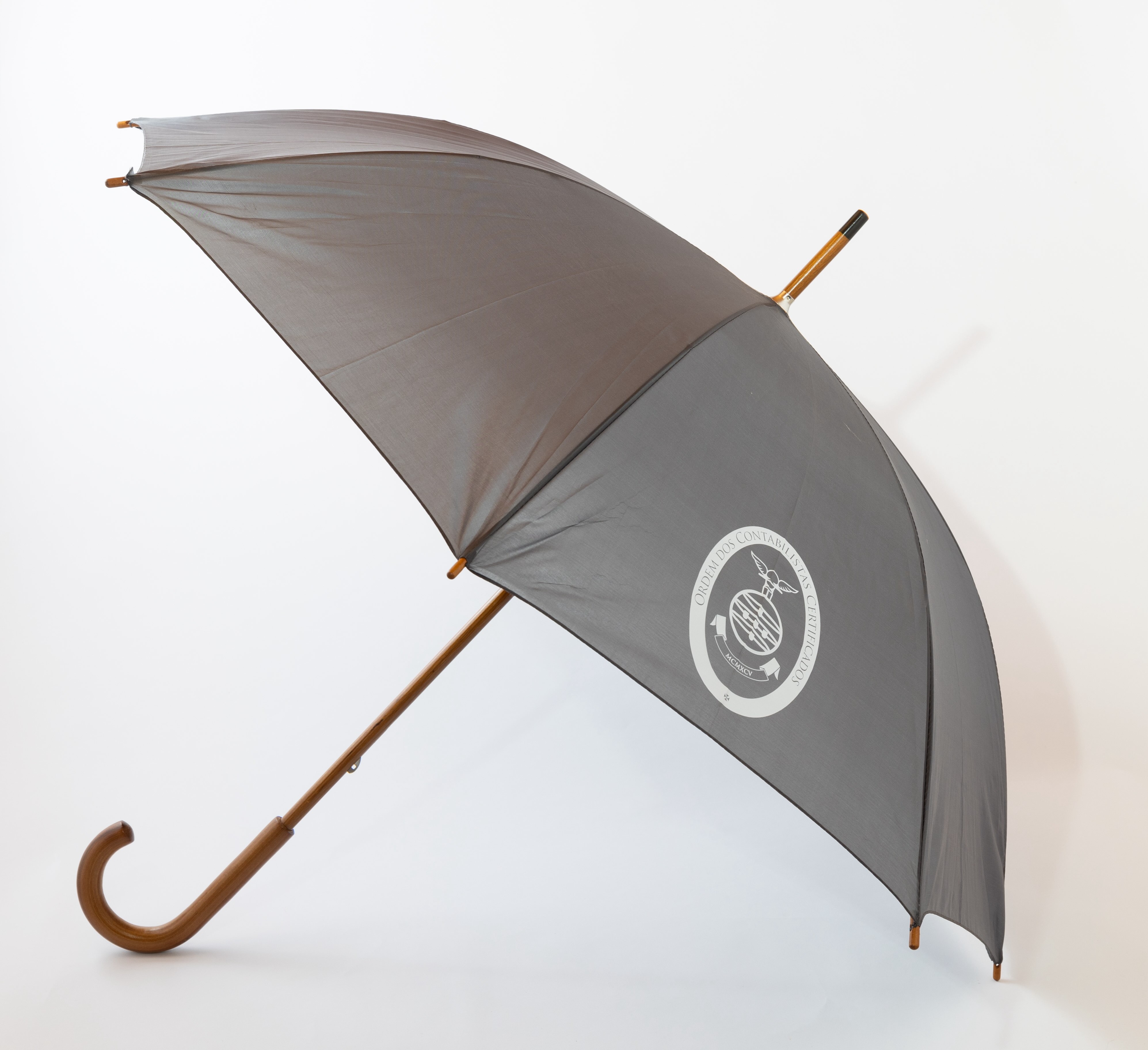 GUARDA CHUVA INSTITUCIONAL - CINZA