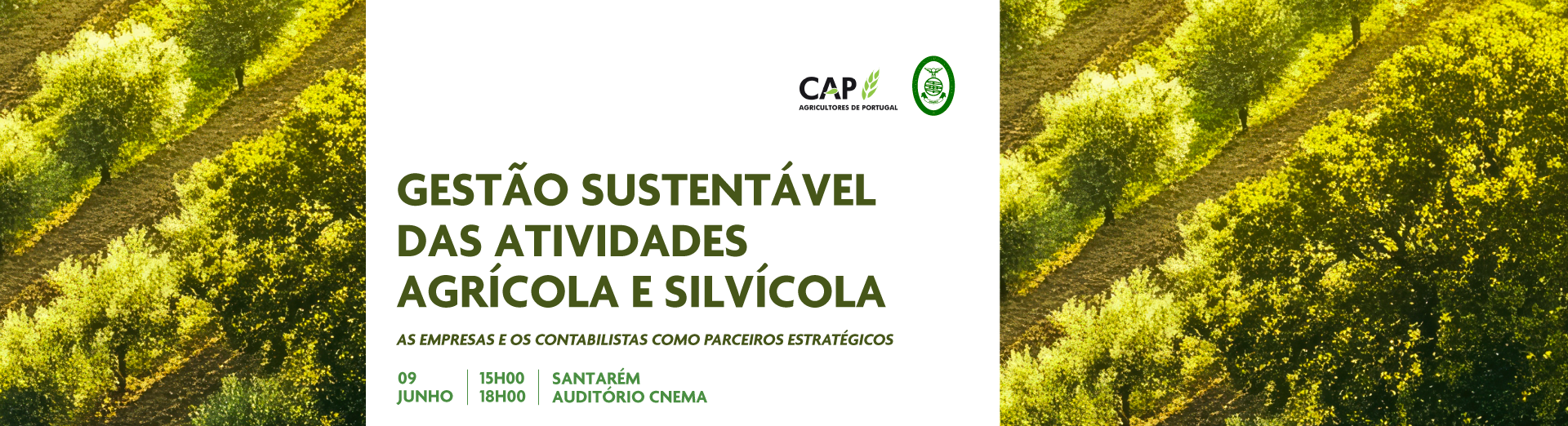 cap/occ