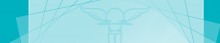 banner-merch