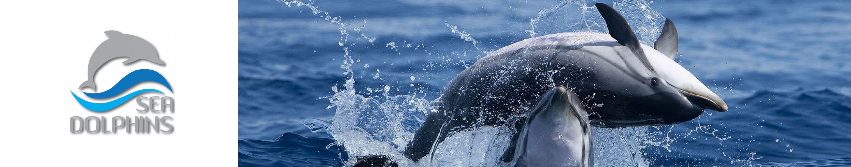 Seadolphins Algarve