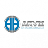 Auto Reparadora