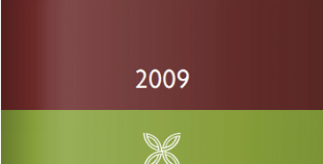 Anuário Financeiro dos Municípios Portugueses 2009