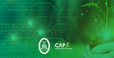 OCC/CAP - 6 de junho