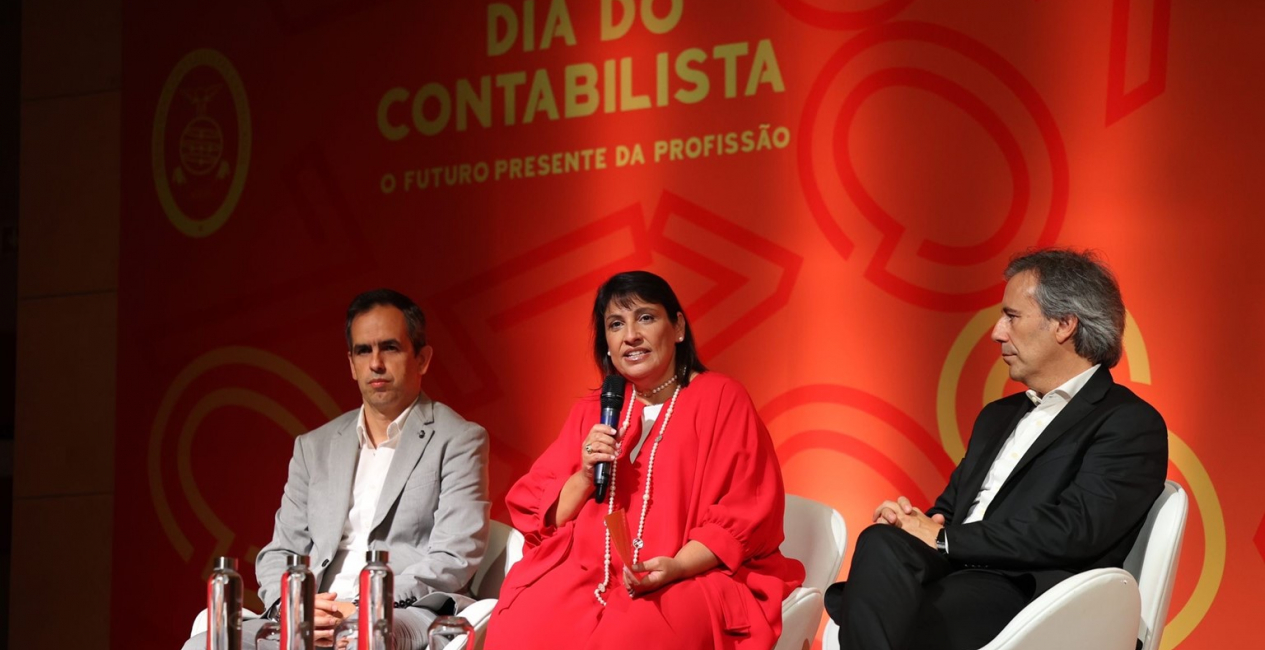 Diacontabilista8